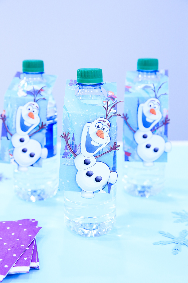 disney frozen water bottle