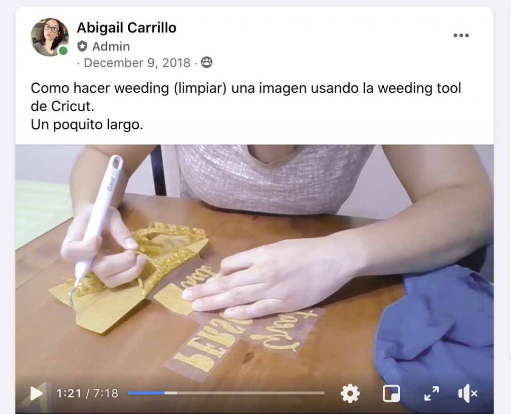 Abigail Carrillo holding a Facebook Live Tutorial on her Cricut Facebook Group