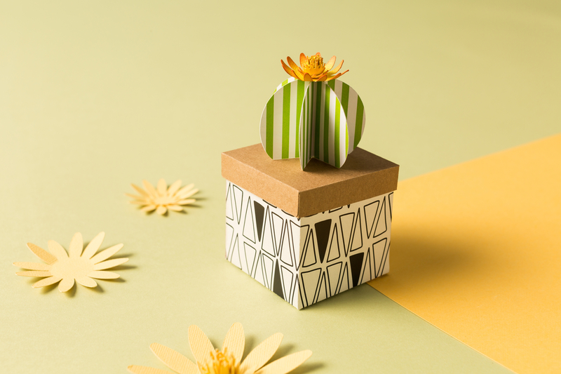 Cricut projects: Cactus Gift Box