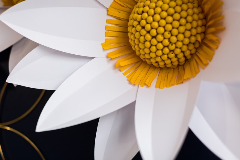 Cricut projects: Giant Paper Daisy
