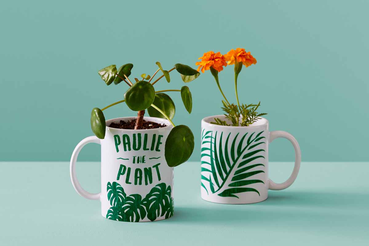DIY mugs for plants with Cricut