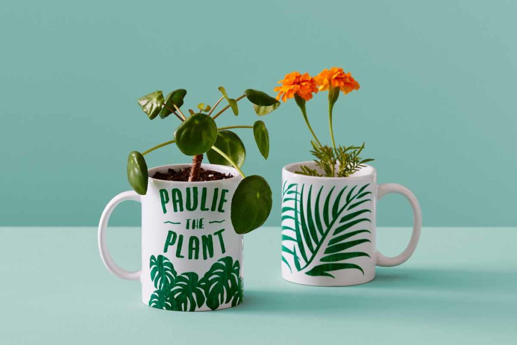 Paulie the Plant mug from Cricut
