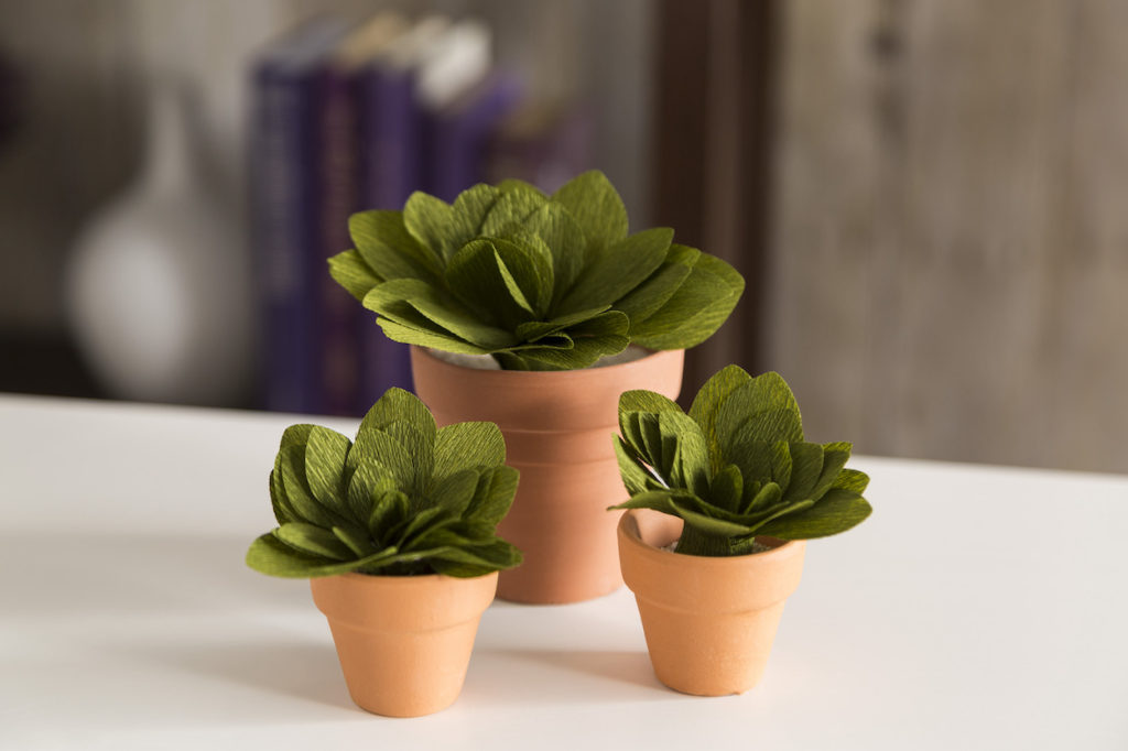 Paper potted plants