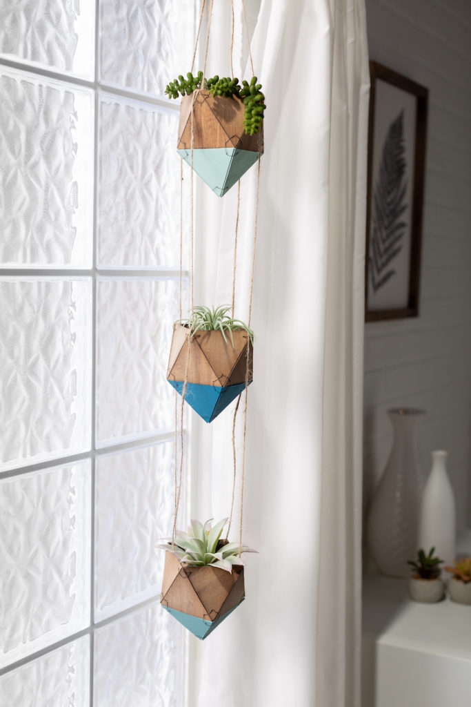 Hanging succulents in planter in window.