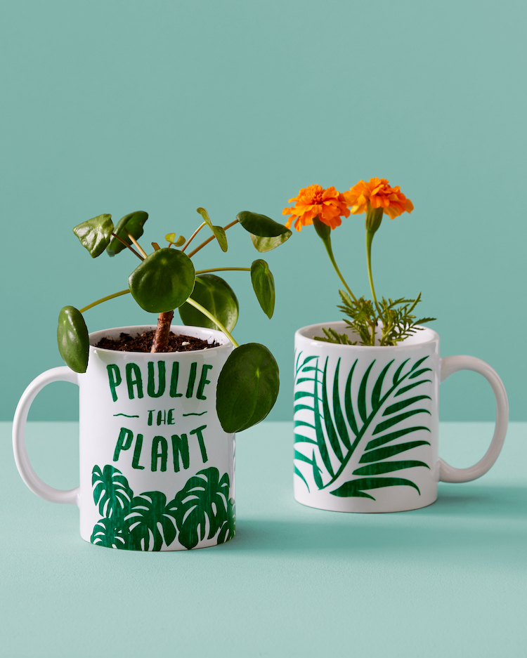 Two plants in plant-themed coffee mugs.
