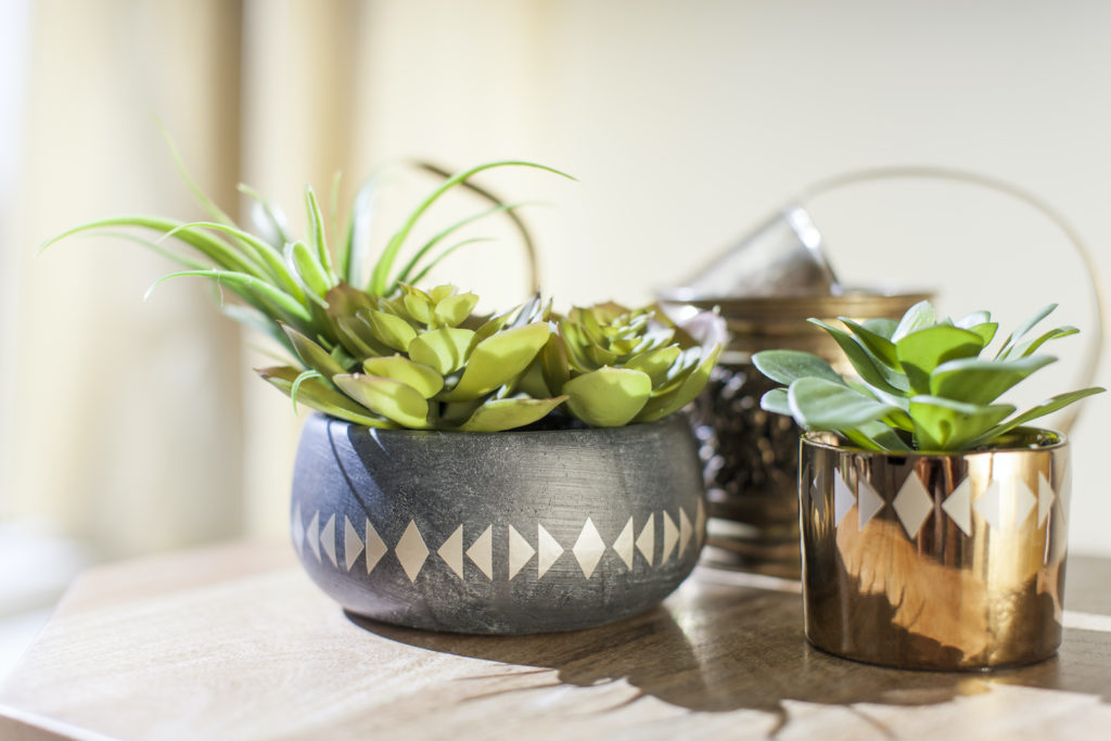 Elegant patio Ideas. Two potted succulents, side by side planted in embellished bowls. 