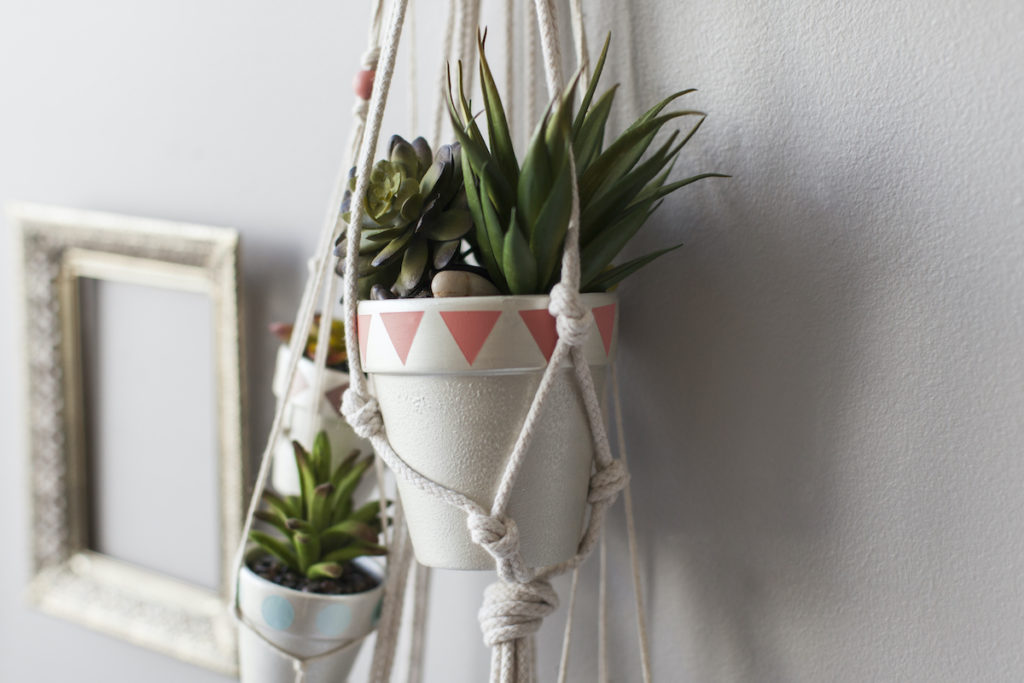 A hanging planter acts as another rental home decorating tip, with two succulents sitting in white hanging pots on a gray wall.