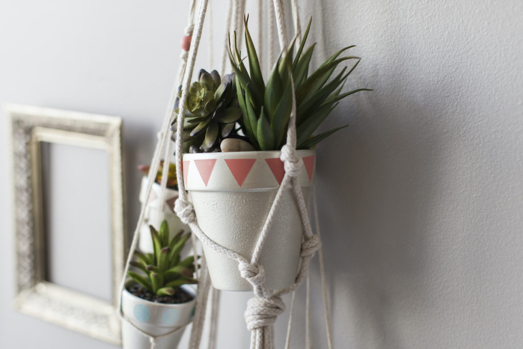 A hanging planter acts as another rental home decorating tip, with two succulents sitting in white hanging pots on a gray wall. 