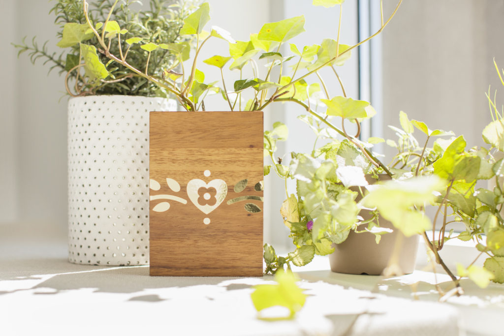 Green plants in various decorative planters by window