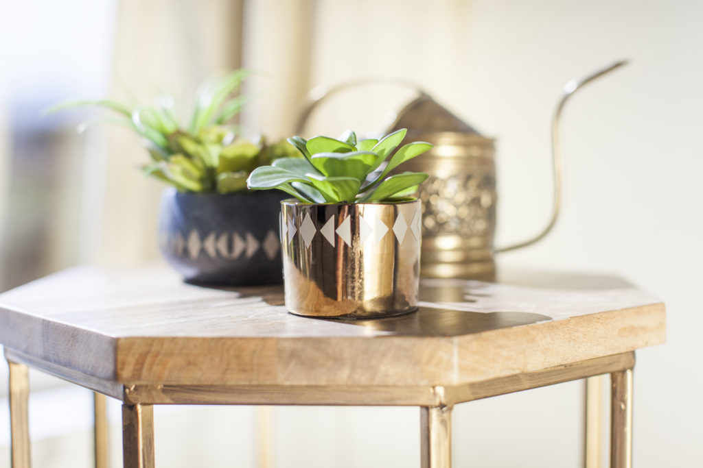 Succulents on side table