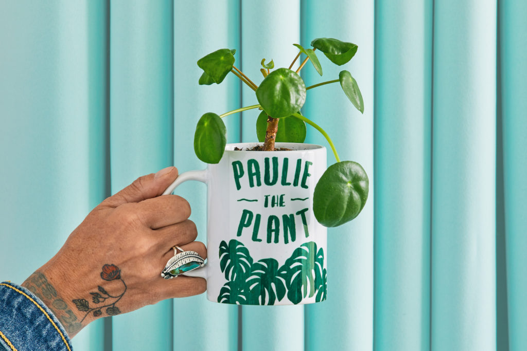 Ideas for potted patio plants. Mug in hand.