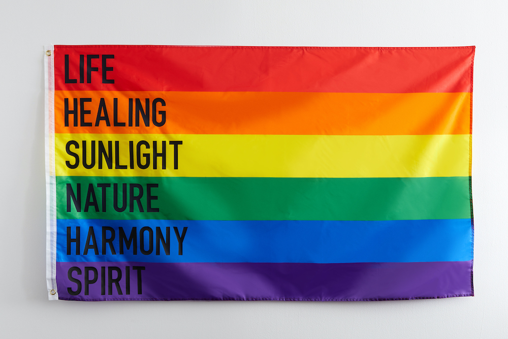 A Pride Party flag showcasing the meaning of each color ("life" for red, "healing" for organge, "sunlight" for yellow, "nature" for green, "harmony" for blue, and "spirit" for purple) hangs on a wall.