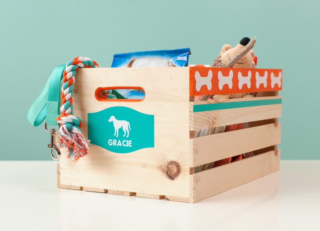 Storage crate for dog