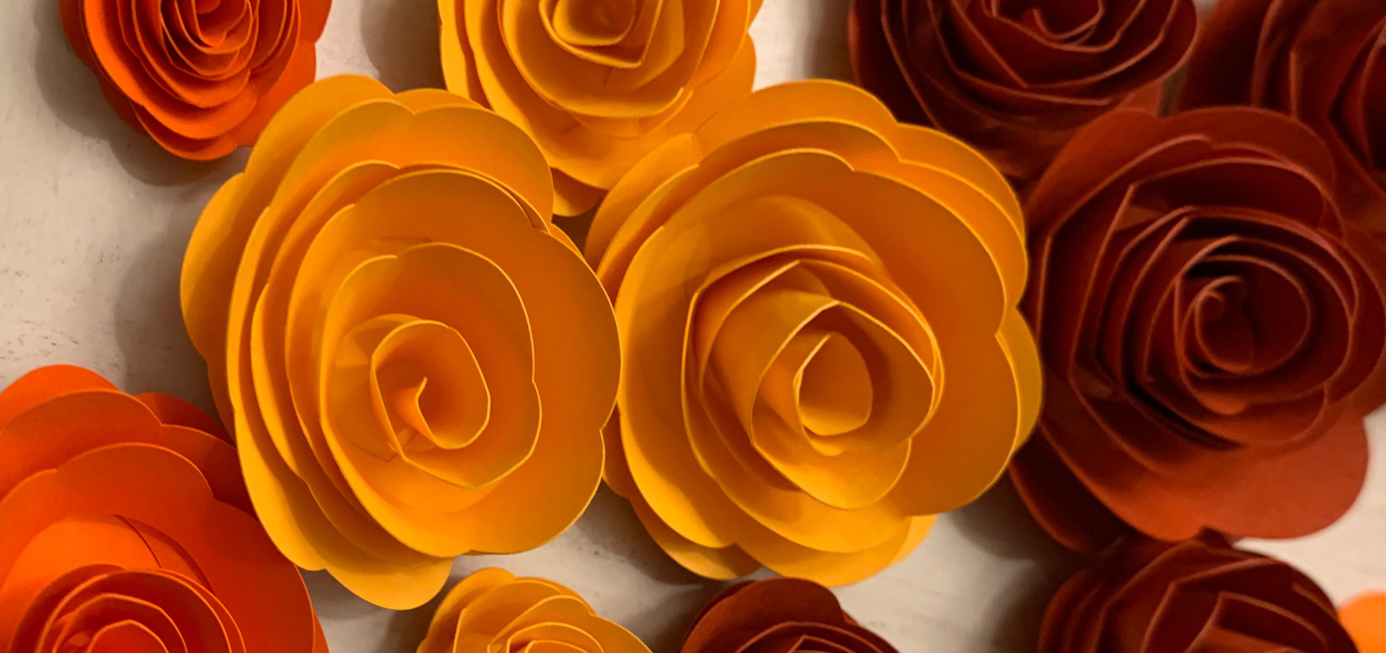 How To Make Rolled Paper Flowers With Cricut Best Flower Site 1500